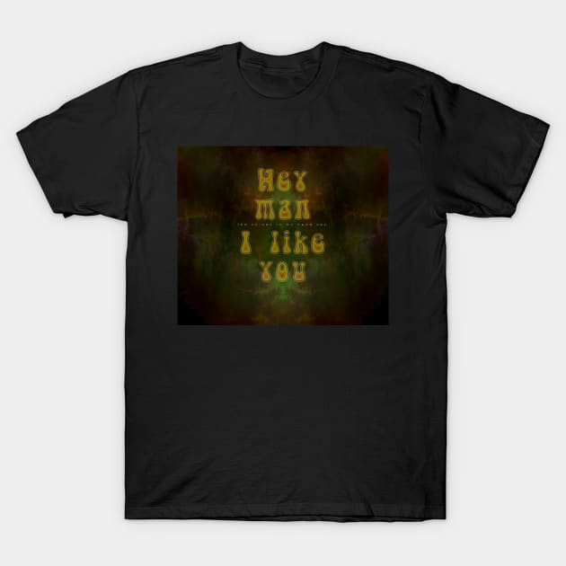 Hey Man (the voices in my head say) I Like You T-Shirt by SolarCross